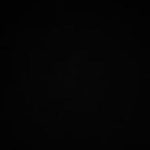 Meet your Posher, Joey